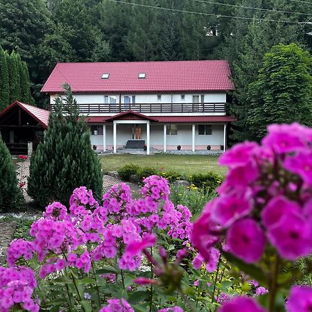 Vacation Villa Sucevita Extérieur photo